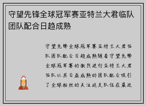 守望先锋全球冠军赛亚特兰大君临队团队配合日趋成熟