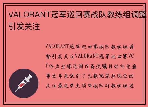VALORANT冠军巡回赛战队教练组调整引发关注
