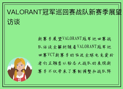 VALORANT冠军巡回赛战队新赛季展望访谈