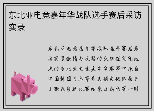 东北亚电竞嘉年华战队选手赛后采访实录